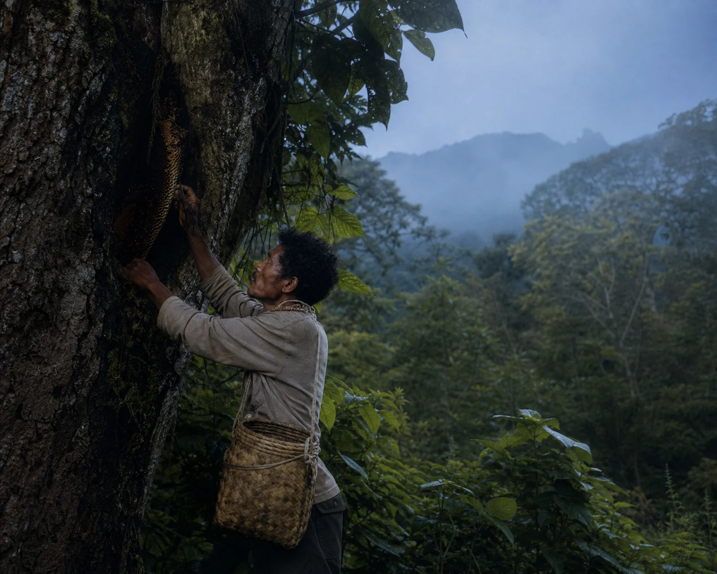 Creative brand image of a honey harvester in mountain forest